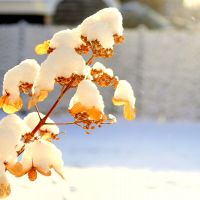 Чем заняться в феврале фото